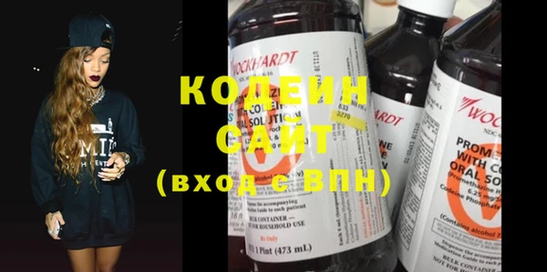 прущие крисы Ельня