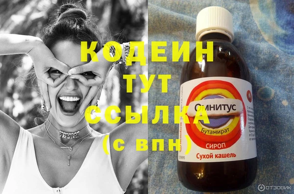 сатива Елизово