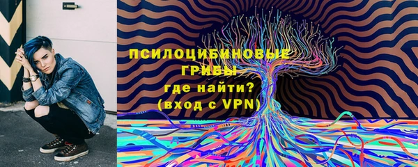 PSILOCYBIN Елабуга