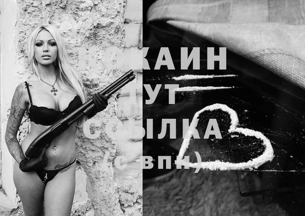 сатива Елизово
