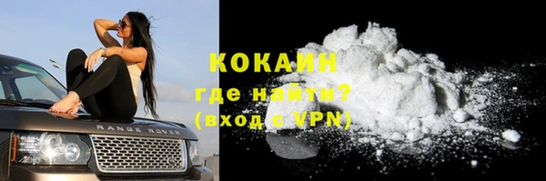 сатива Елизово
