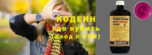 прущие крисы Ельня