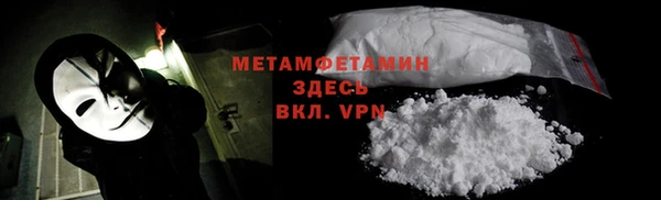 сатива Елизово