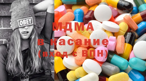сатива Елизово