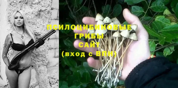 сатива Елизово