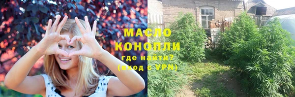 прущие крисы Ельня