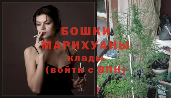 PSILOCYBIN Елабуга