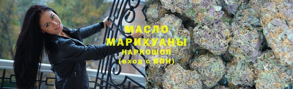 сатива Елизово