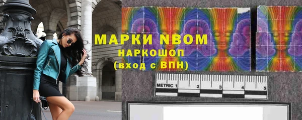 прущие крисы Ельня