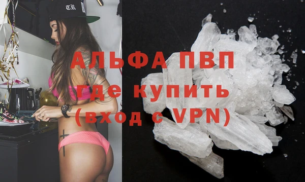 PSILOCYBIN Елабуга