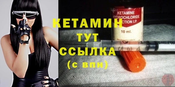 сатива Елизово